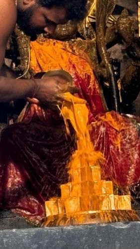 WhatsApp-Image-2024-10-15-at-12.35.11-PM-2