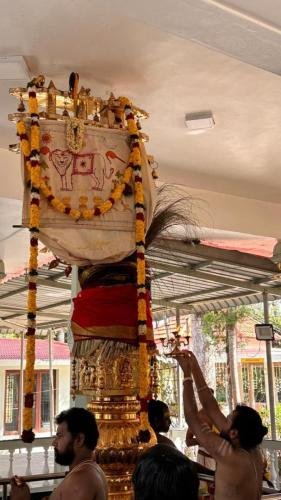 WhatsApp-Image-2024-10-15-at-12.35.11-PM