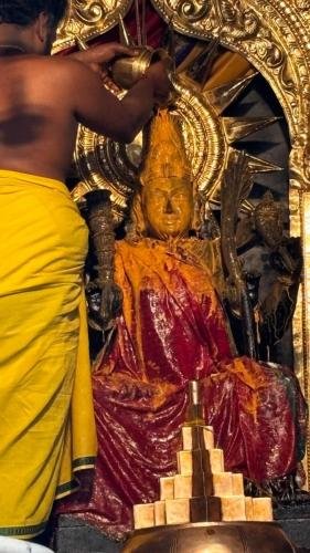 WhatsApp-Image-2024-10-15-at-12.35.13-PM